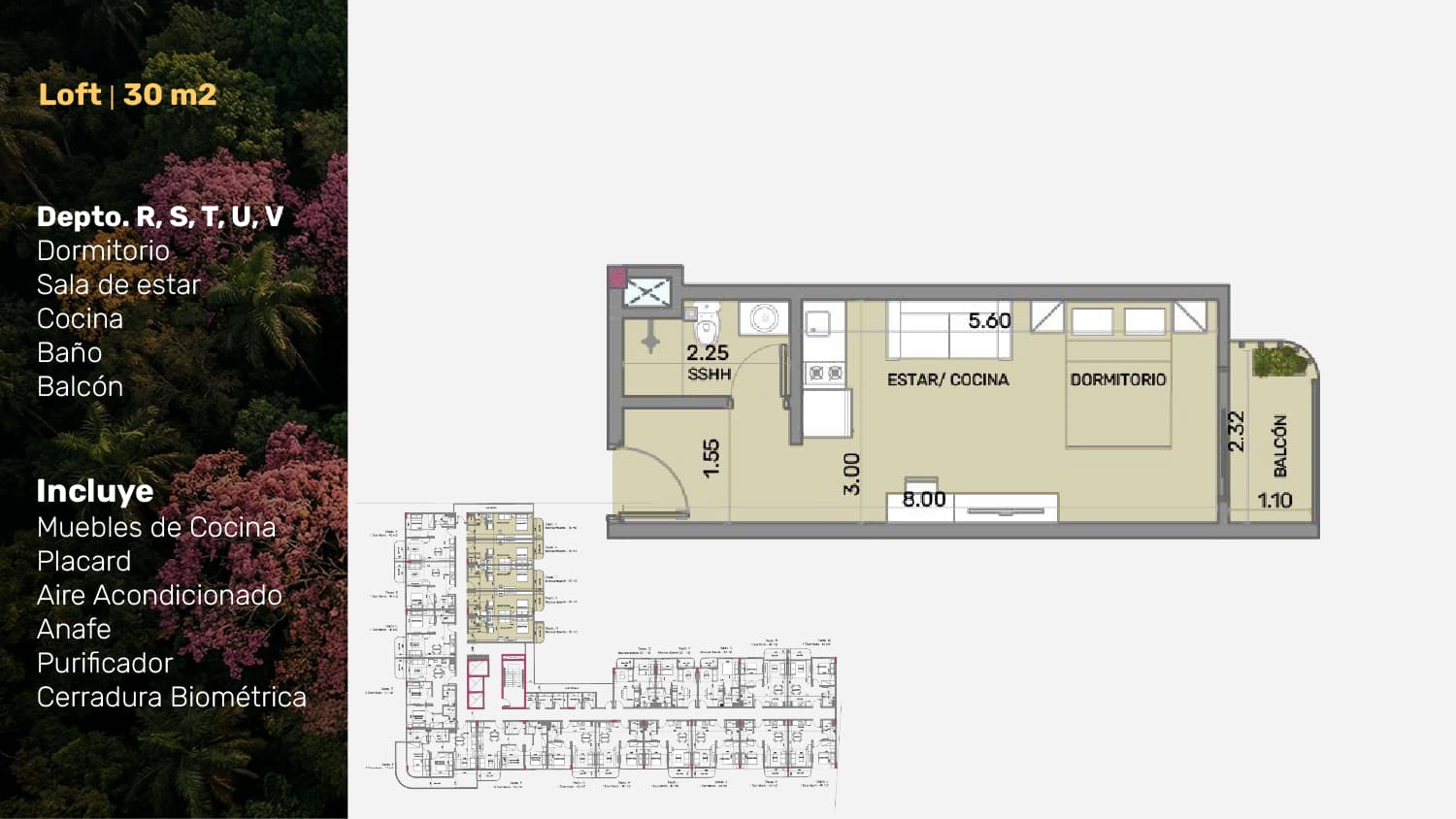 Loft 30m2